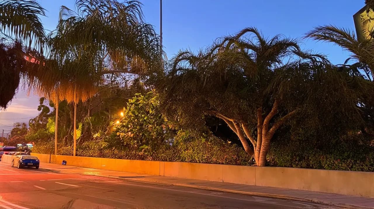 25 Fun Things to Do in Cali Evening