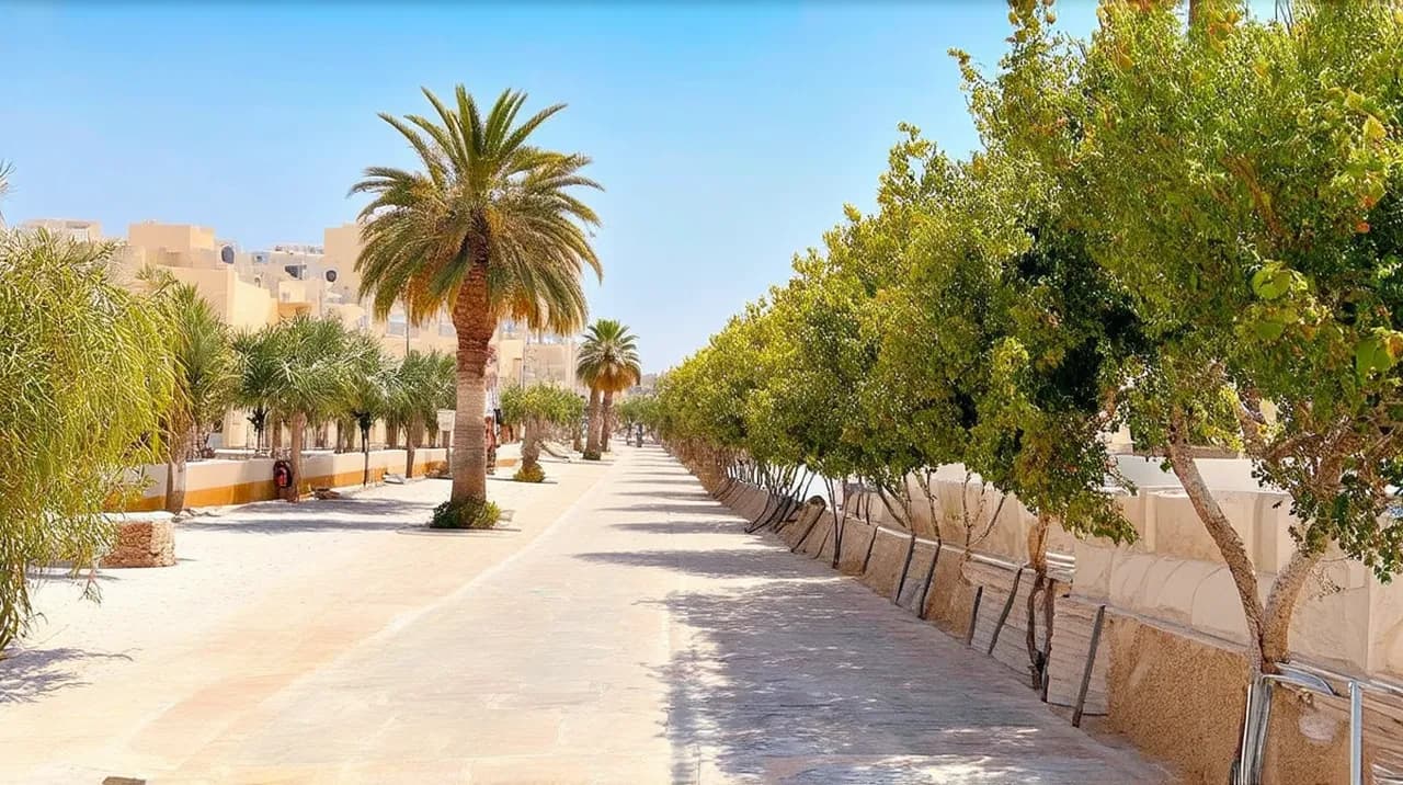 20 Fun Things to Do Alone in Larnaka