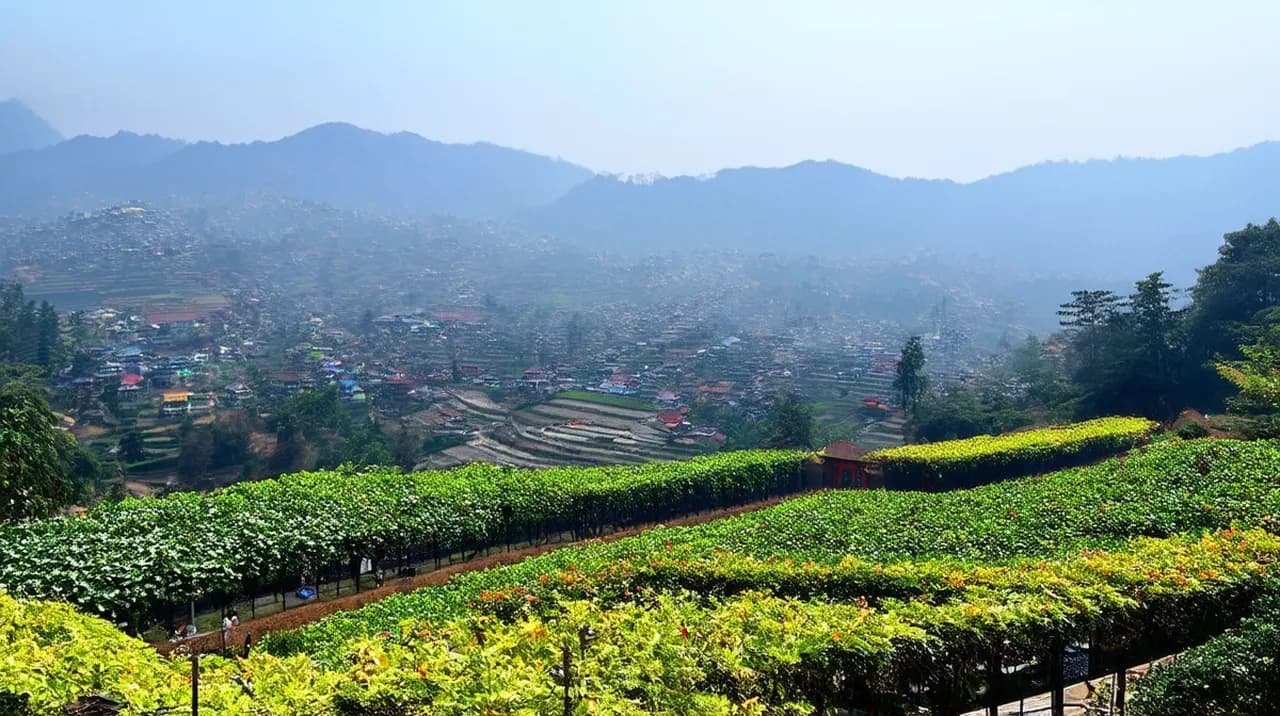 25 Free Things to Do in Darjeeling