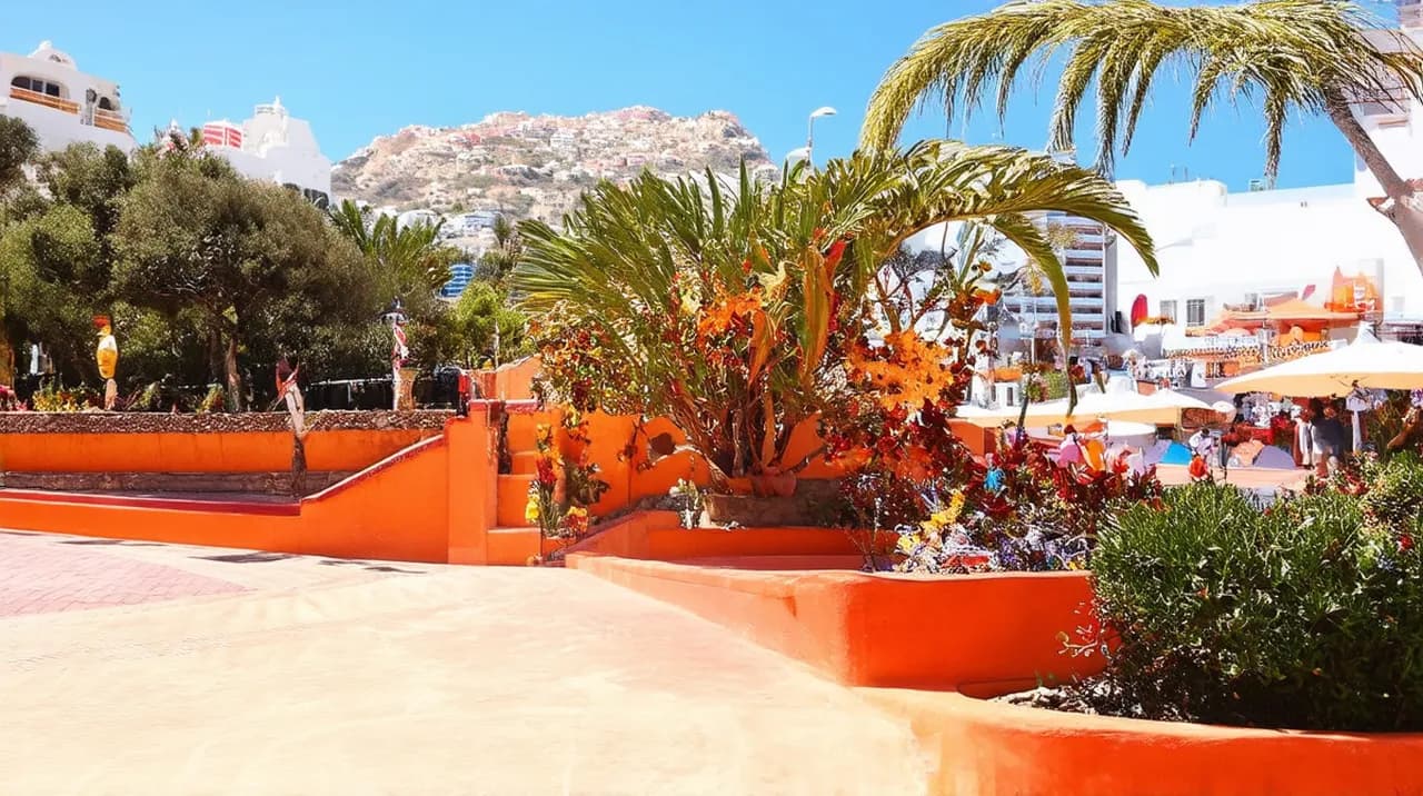 Top 25 Free Things to Do in Santa Cruz de Tenerife