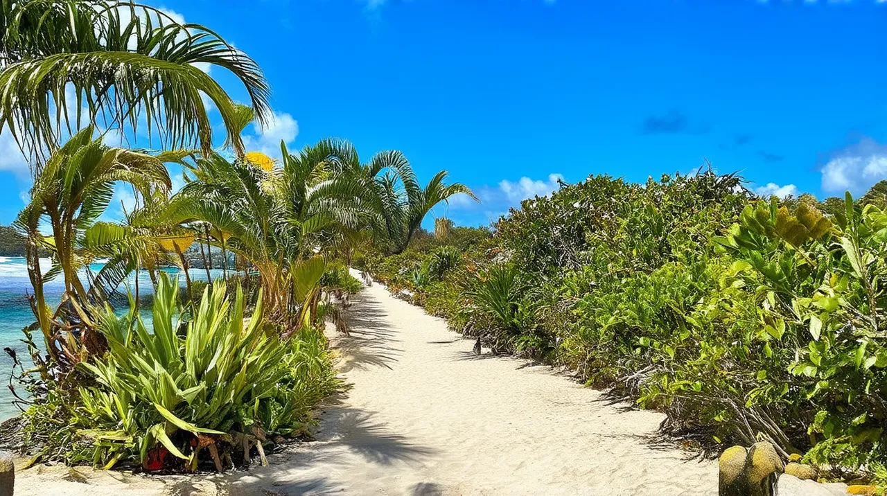 20 Cheap Fun Things to Do in Noumea