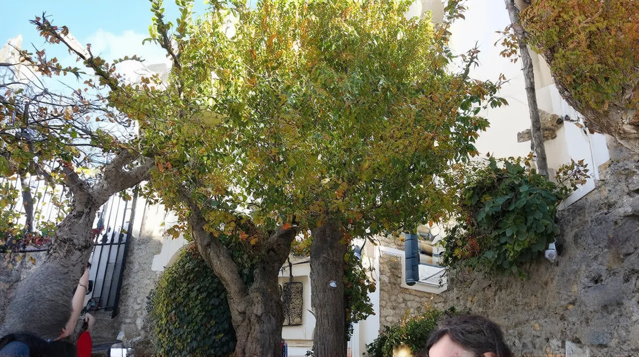 30 Cheap Fun Things to Do in Santiago de Compostela