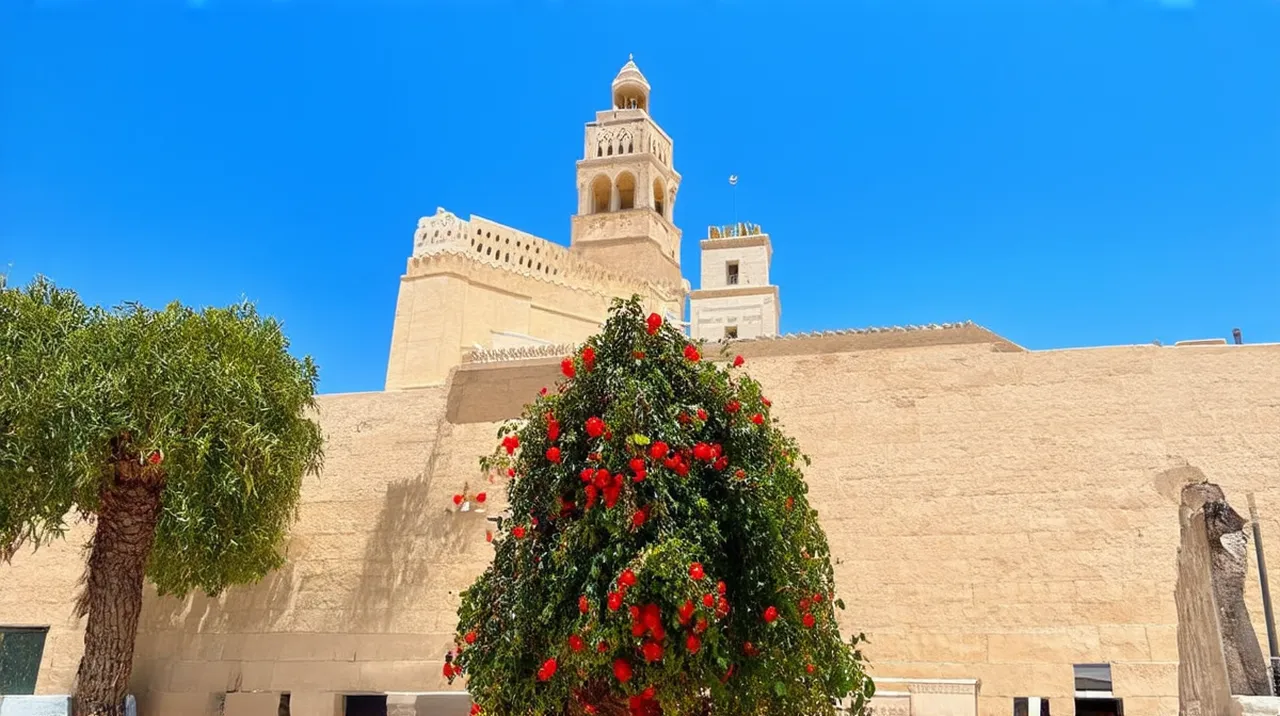 20 Free Fun Things to Do in Tunis