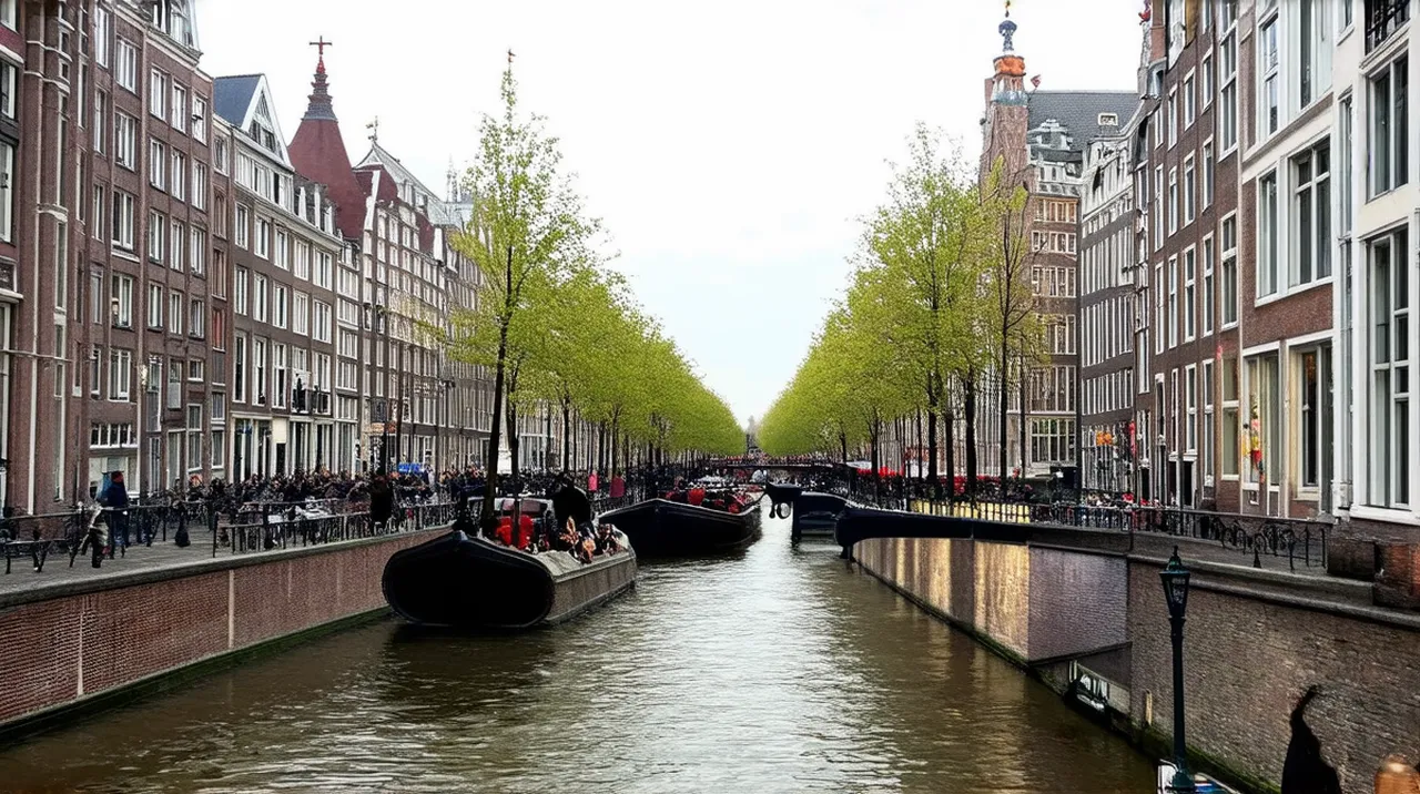 25 Fun Things to Do in Antwerp Evening