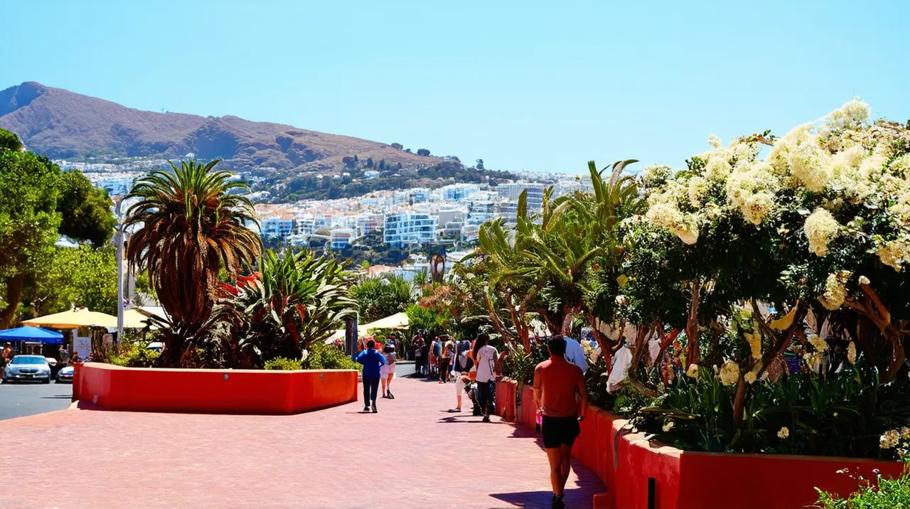 30 Fun Things to Do in Funchal