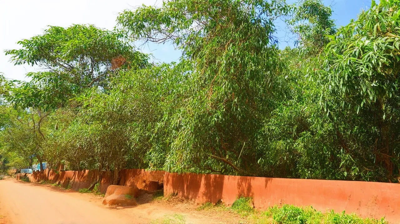 25 Fun Things to Do in Kigali Alone