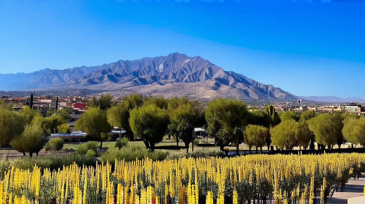 25 Free Things to Do in Mendoza