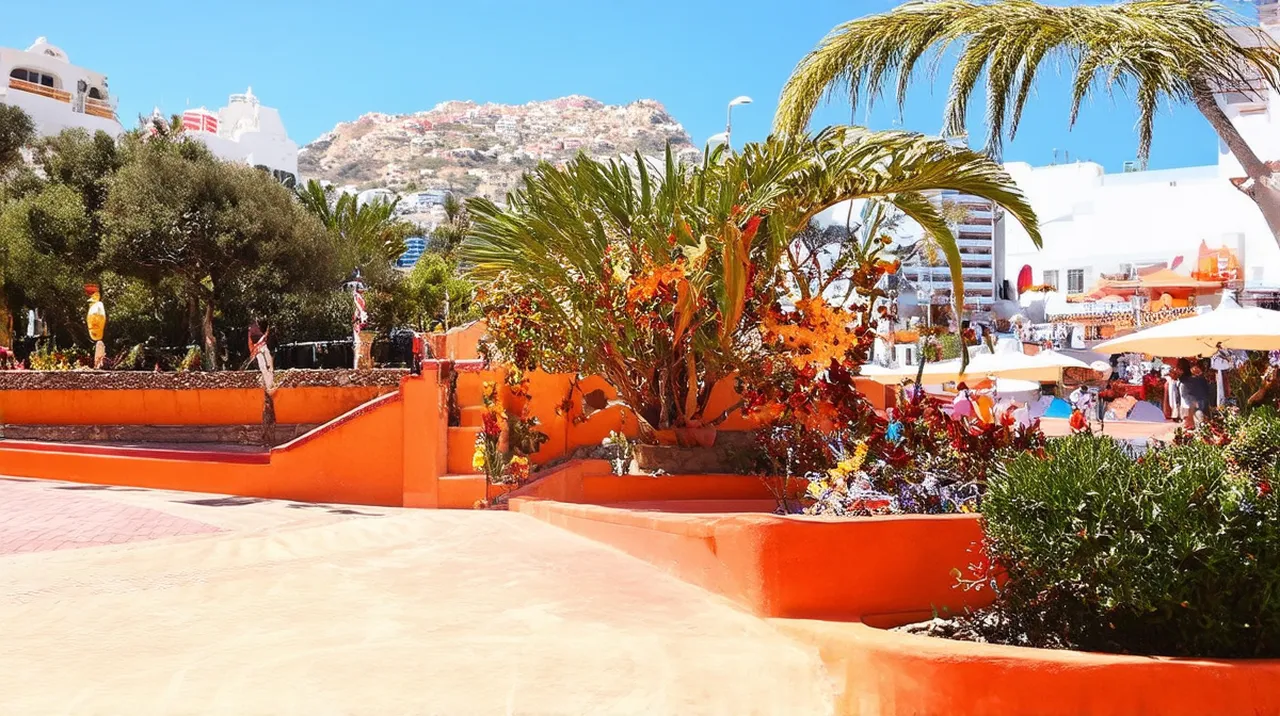 Top 25 Free Things to Do in Santa Cruz de Tenerife