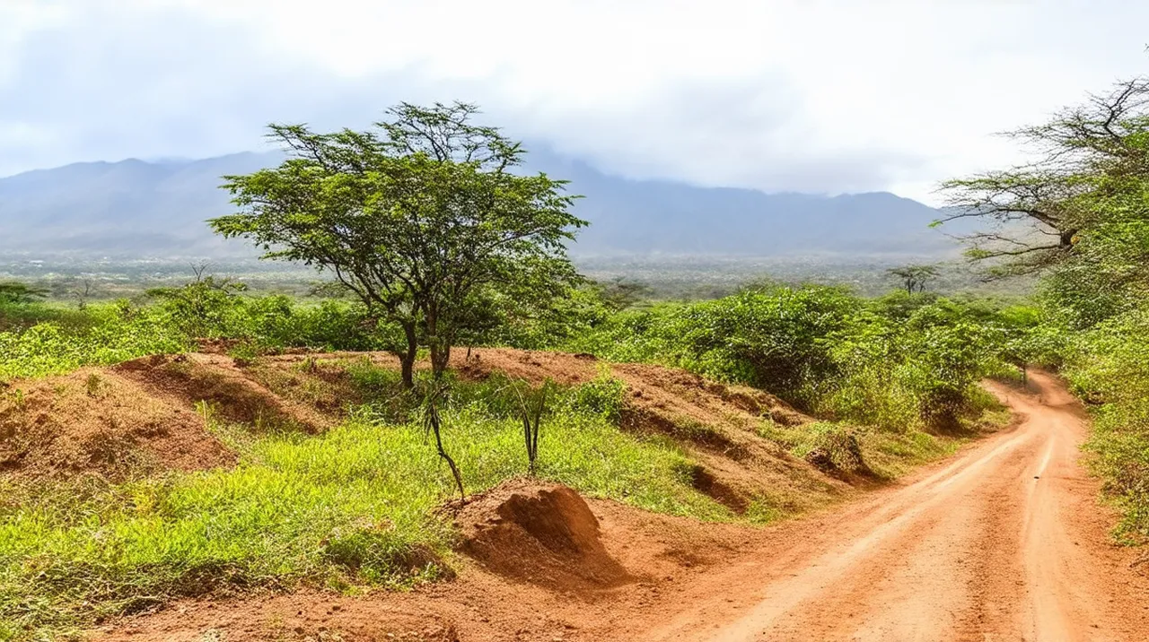 5 Unforgettable Days: What to Do in Arusha