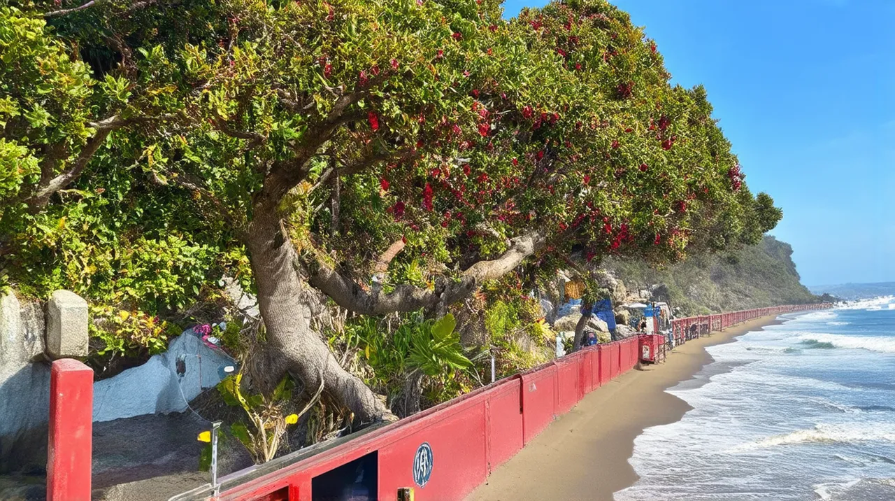 5-Day Itinerary: What to Do in Santa Cruz