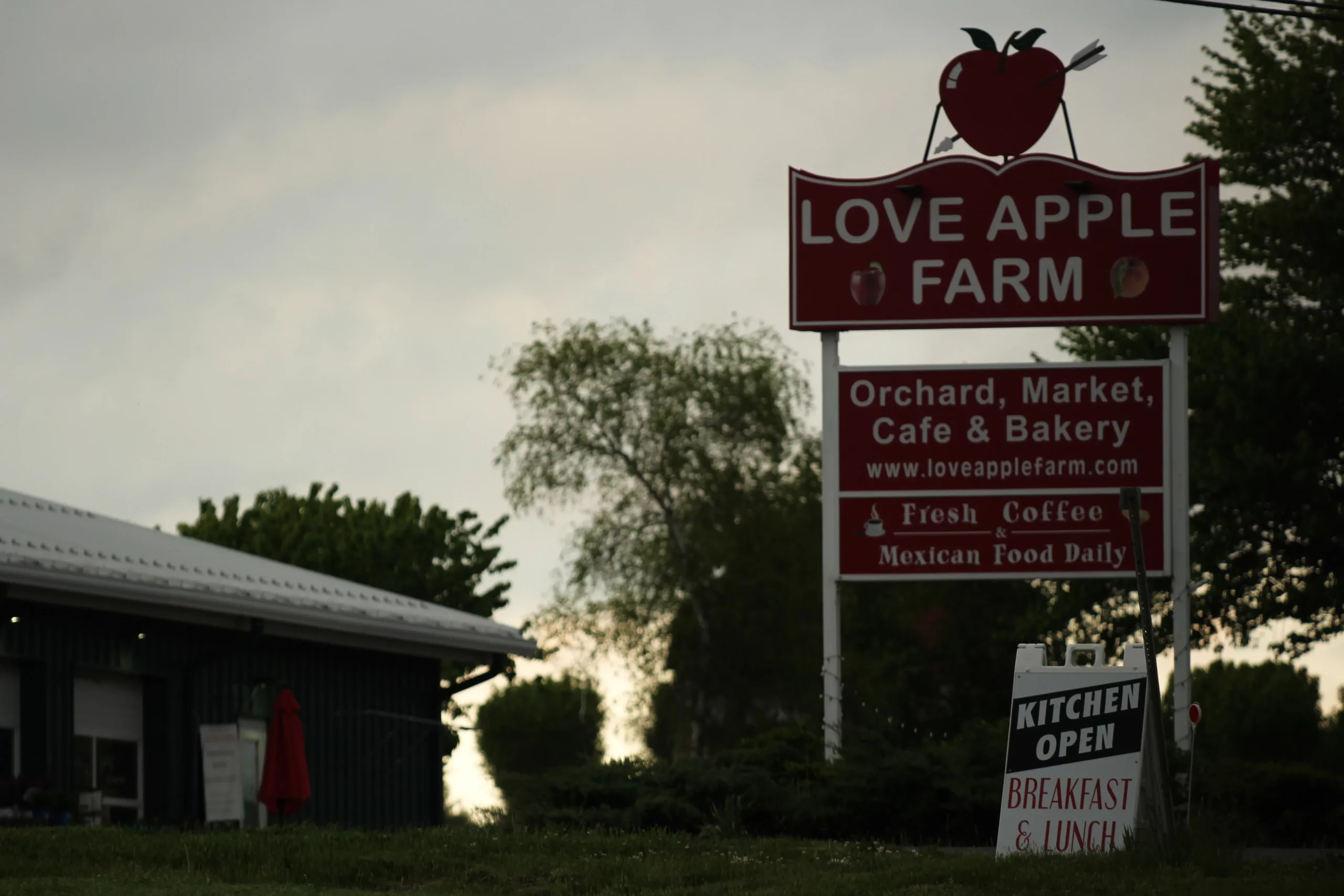 5. Stroll Through the Beautiful Citadel Park